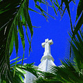 Palms and Peace