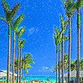 The Palms of Casa Marina Impressionism